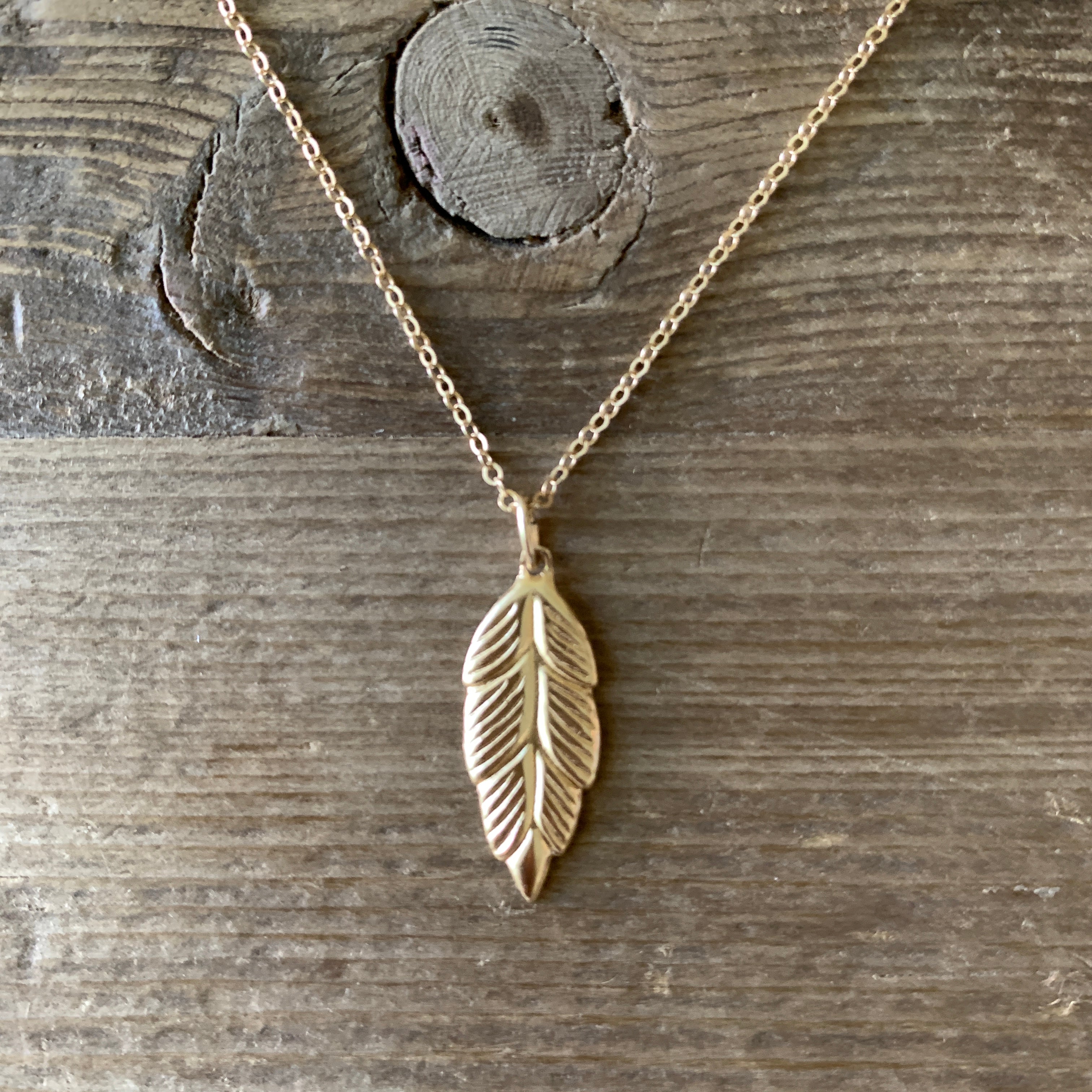 A Simply Beautiful Feather