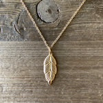 A Simply Beautiful Feather